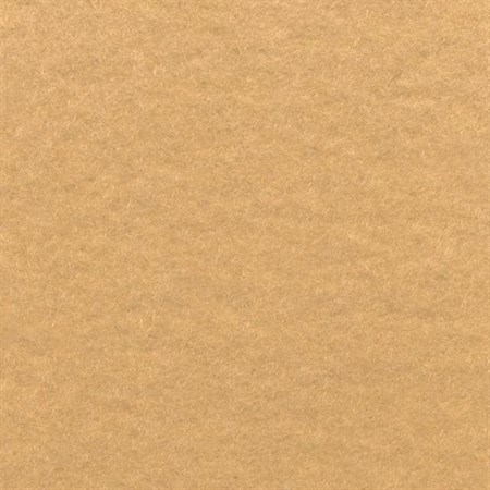 Heltäckningsmatta Expo Trend, beige